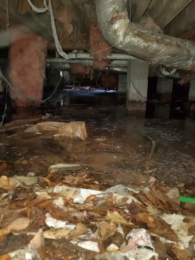 Crawl space flood assessment for Commercial Water Damage Restoration in Fairview