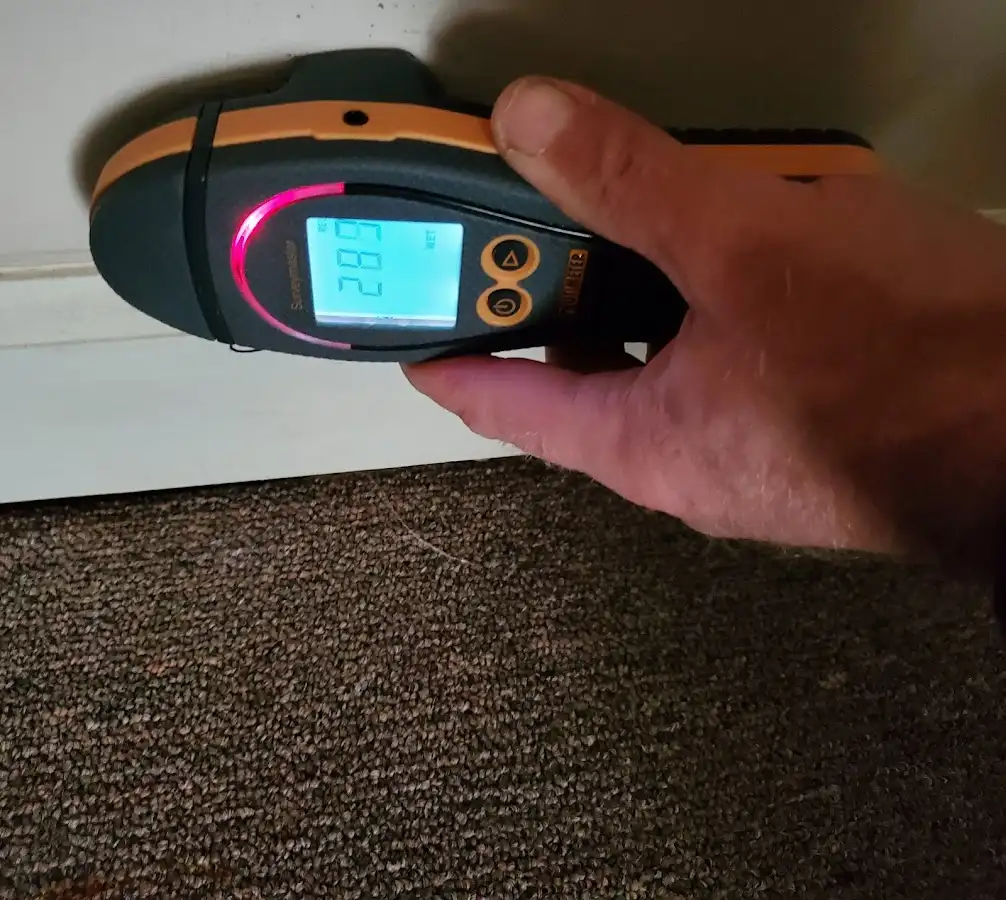 Moisture detection at baseboard during Burst Pipe Cleanup in Fairview